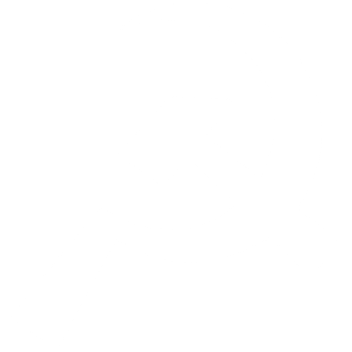 Revolution Festival