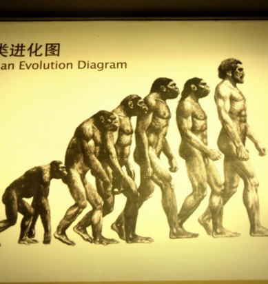 evolution